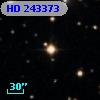 HD 243373