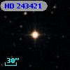 HD 243421