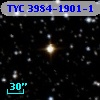 TYC 3984-1901-1