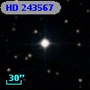 HD 243567