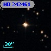 HD 242461