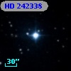 HD 242338