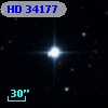 HD  34177