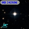 HD 242896