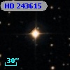 HD 243615