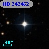 HD 242462