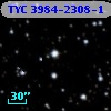 TYC 3984-2308-1