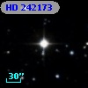 HD 242173