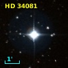 HD  34081
