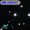HD 243377