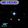 HD 242543