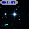 HD  34856