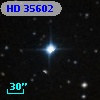 HD  35602