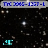TYC 3985-1257-1