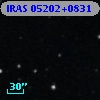 IRAS 05202+0831