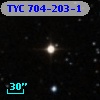 TYC  704-203-1