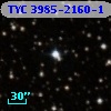 TYC 3985-2160-1