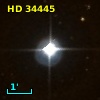 HD  34445
