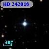 HD 242018