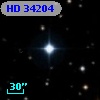 HD  34204