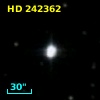 HD 242362