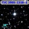 TYC 3988-1310-1