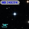HD 243274