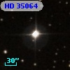 HD  35064