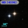 HD 243302