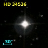 HD  34536
