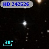 HD 242526