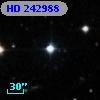 HD 242988
