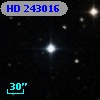 HD 243016