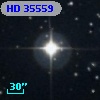 HD  35559