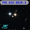 TYC  113-1828-1