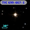 TYC  699-667-1