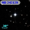 HD 242129