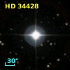 HD  34428