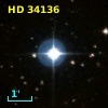 HD  34136