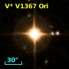 V* V1367 Ori