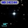 HD 242244
