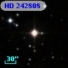 HD 242808
