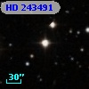 HD 243491