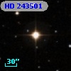 HD 243501