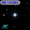 HD 242484