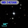 HD 242566
