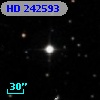 HD 242593