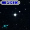 HD 242886