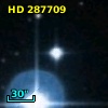 HD 287709