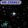 HD 236063